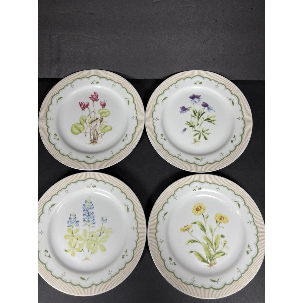 Georges Briard Victorian Gardens Floral Plates Set of 4 Botanical Flowers